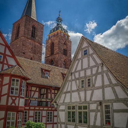 Steinhaeuser Hof Neustadt an der Weinstraße Dış mekan fotoğraf