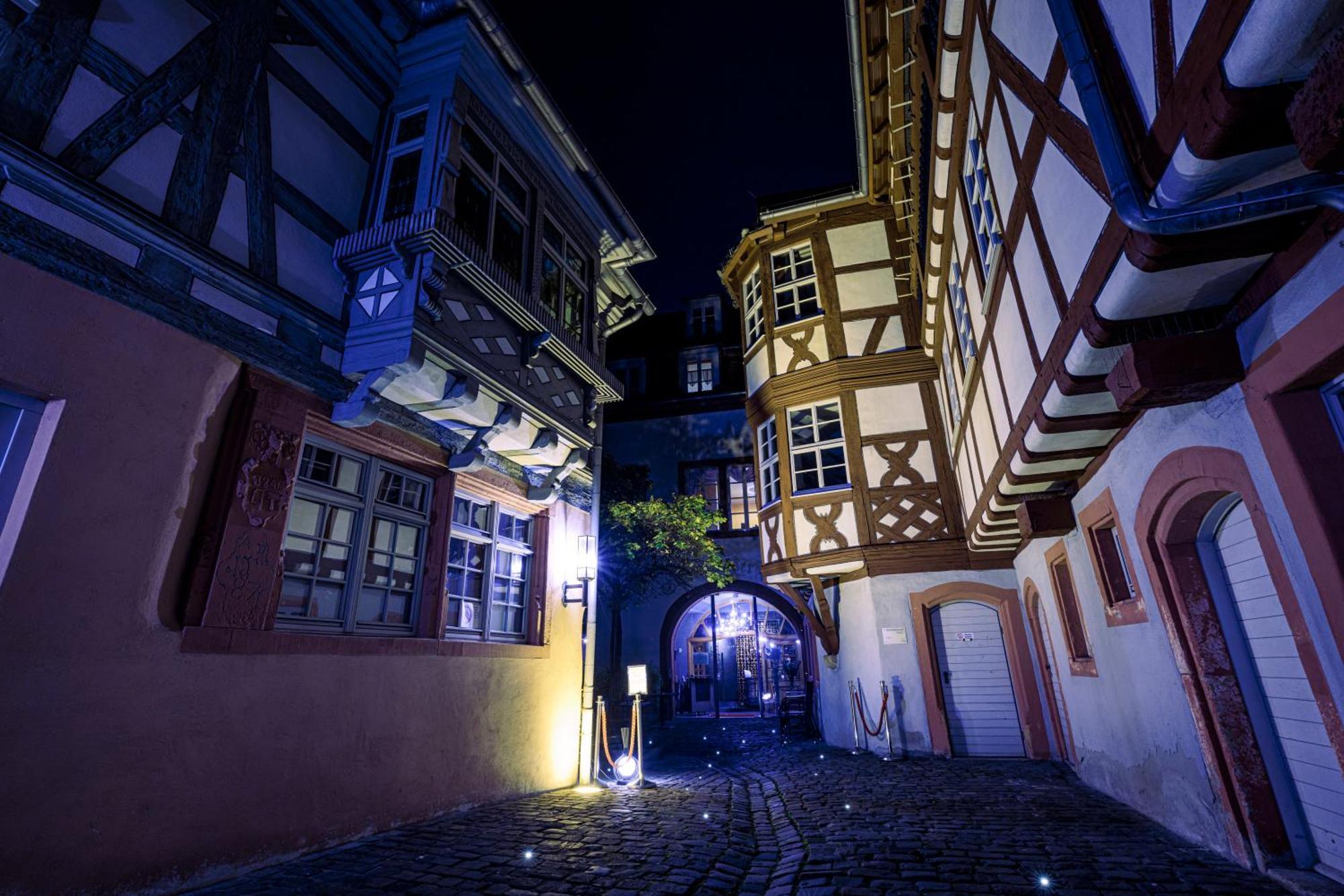 Steinhaeuser Hof Neustadt an der Weinstraße Dış mekan fotoğraf