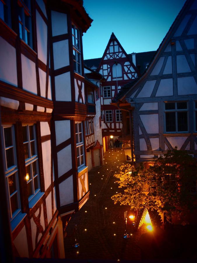 Steinhaeuser Hof Neustadt an der Weinstraße Dış mekan fotoğraf
