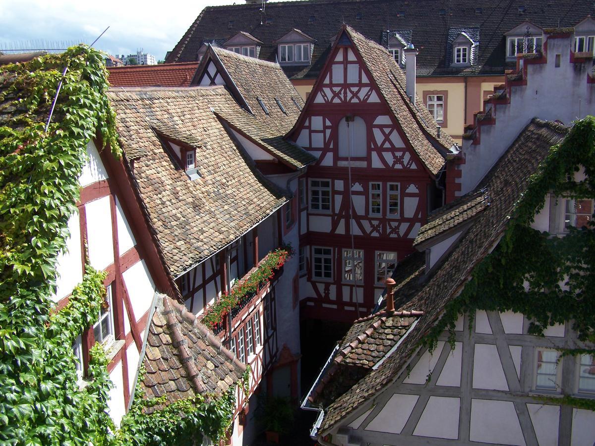 Steinhaeuser Hof Neustadt an der Weinstraße Dış mekan fotoğraf