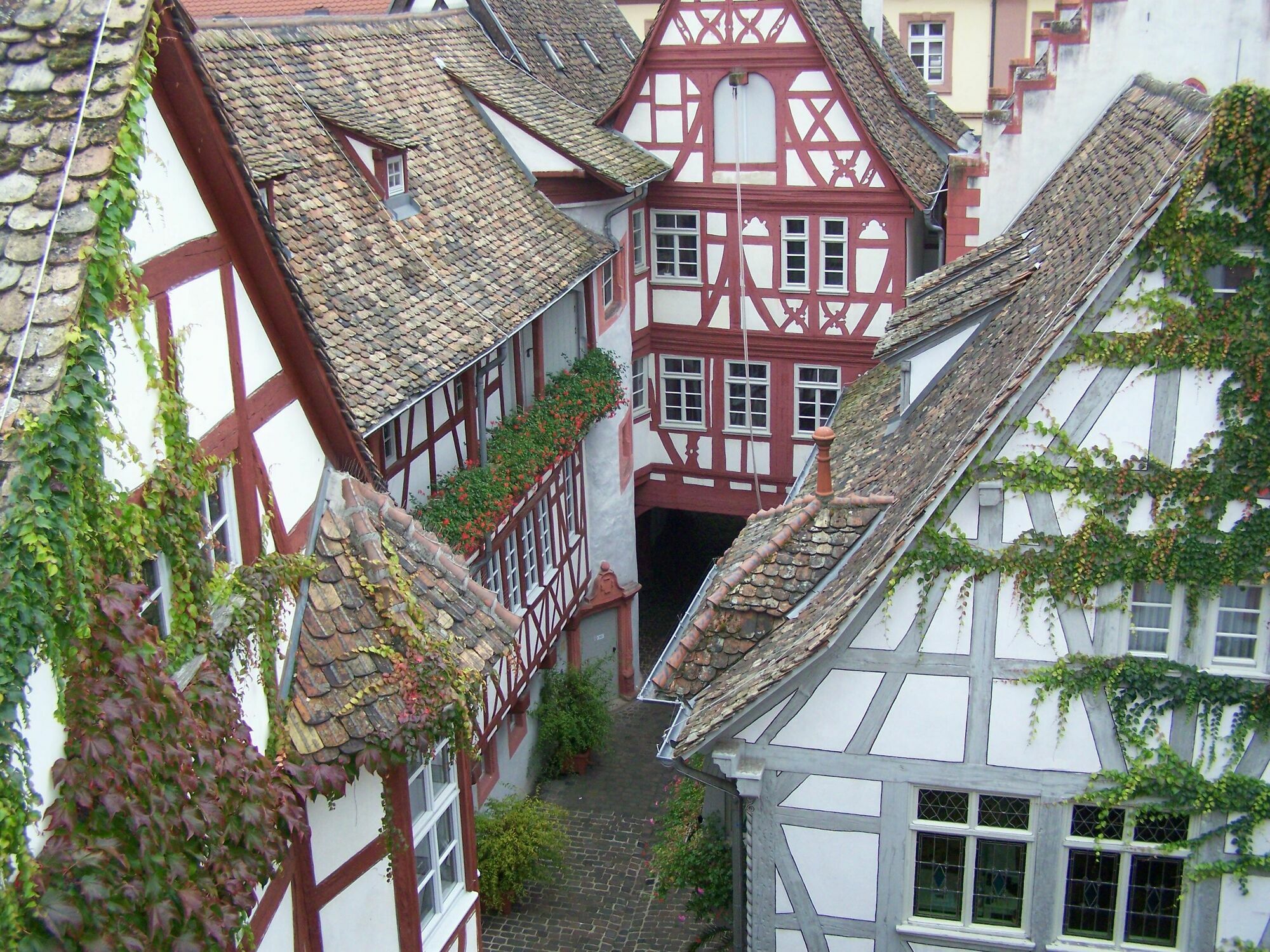Steinhaeuser Hof Neustadt an der Weinstraße Dış mekan fotoğraf